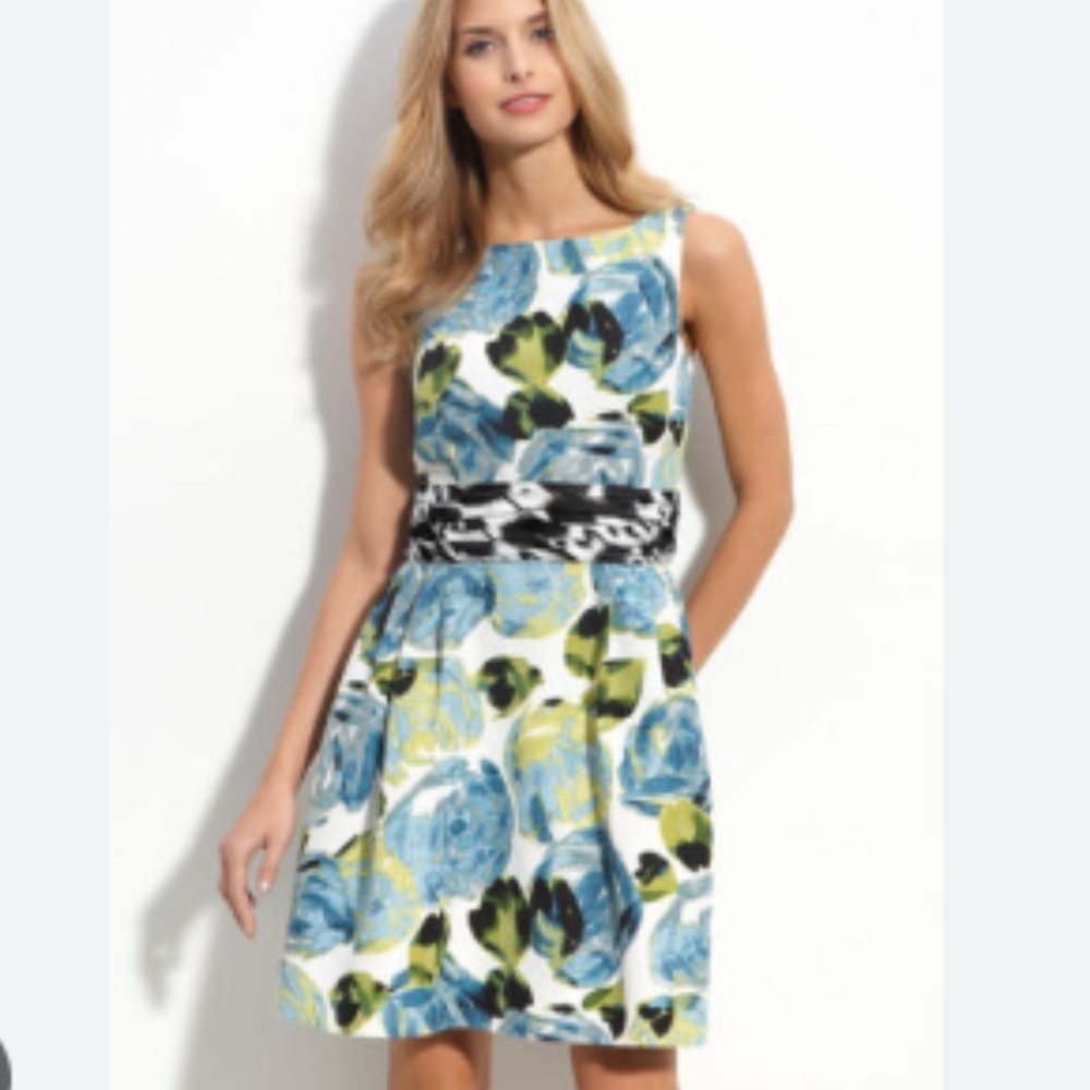 Taylor Floral Mini Dress
